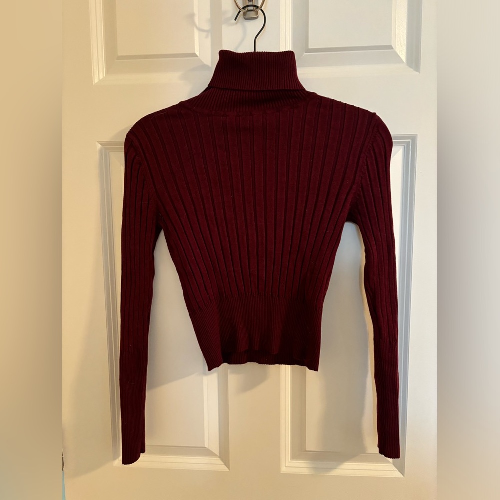 Zara maroon turtleneck